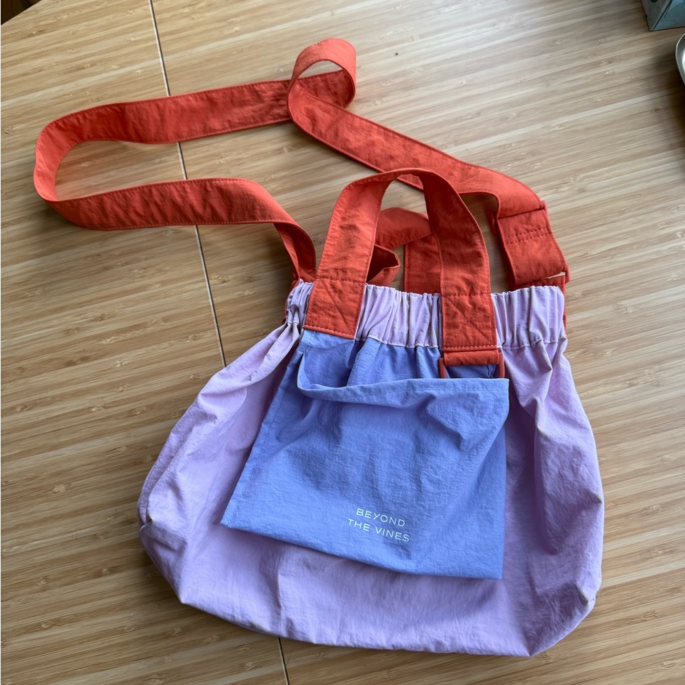 Beyond the vines colorblock xs dumplings bag